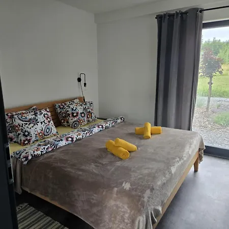 Pauchhuts Apartament Horní Planá