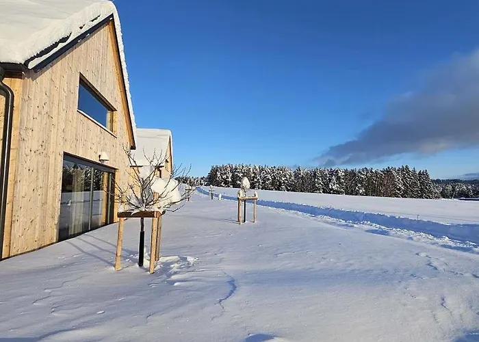 Pauchhuts Apartment Horni Plana